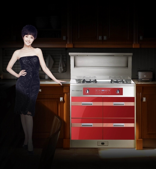 丹東集成環保灶火熱招商中