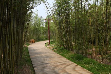 地板今年流行生態木，臨沂木益生是專家