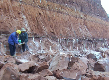 榆林靜態破碎劑，銅川無聲破碎劑廠家