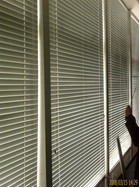 沈陽(yáng)窗簾 百葉簾018