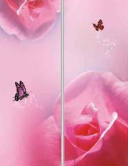 阜新玻璃移門彩印機/玻璃移門彩印機報價