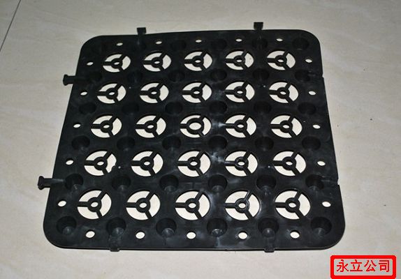 山東泰安HDPE蓄排水板