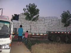 玻璃纖維網格布