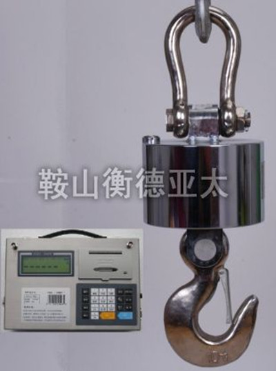 工礦企業(yè)專用無(wú)線數(shù)傳電子吊秤 無(wú)線電子吊秤,電子吊