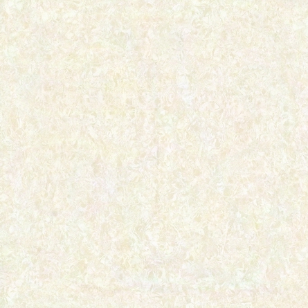 品牌拋光磚促銷