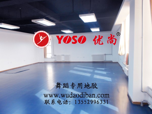 供應優質舞蹈地膠，舞蹈地膠生產廠家及報價