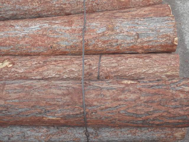 供應落葉松常用規格選材