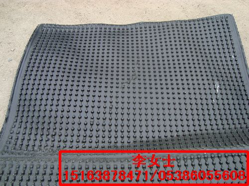 塑料排水板，山東廠報價江西，車庫頂板/屋頂花園專用