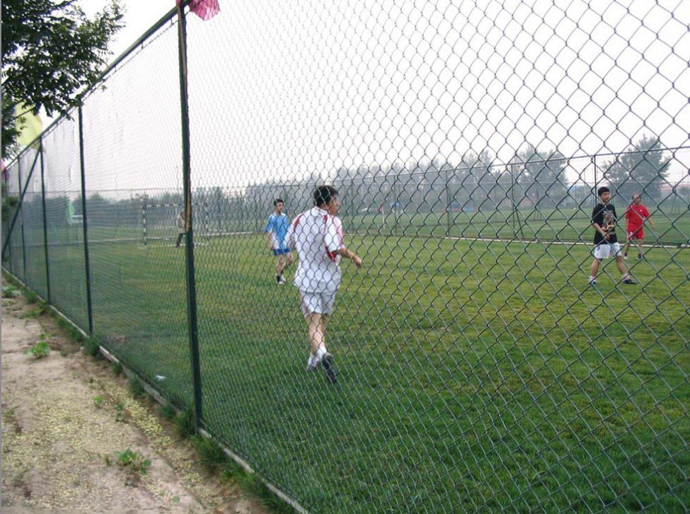 球場鐵絲網供應商 球場鐵絲網規格