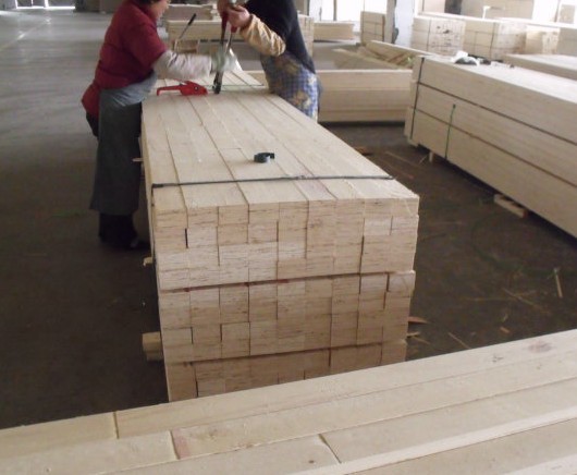 楊木多層板、順向板