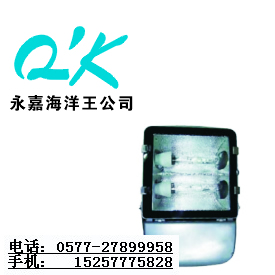 海洋王NFC9131_海洋王NFC9131_海洋王投光燈