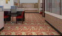 遼寧沈陽地毯專賣廠家高檔地毯低檔價位和諧社會