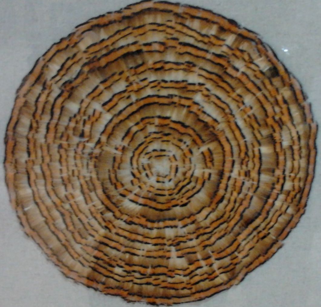 精美壁畫——太陽(yáng)