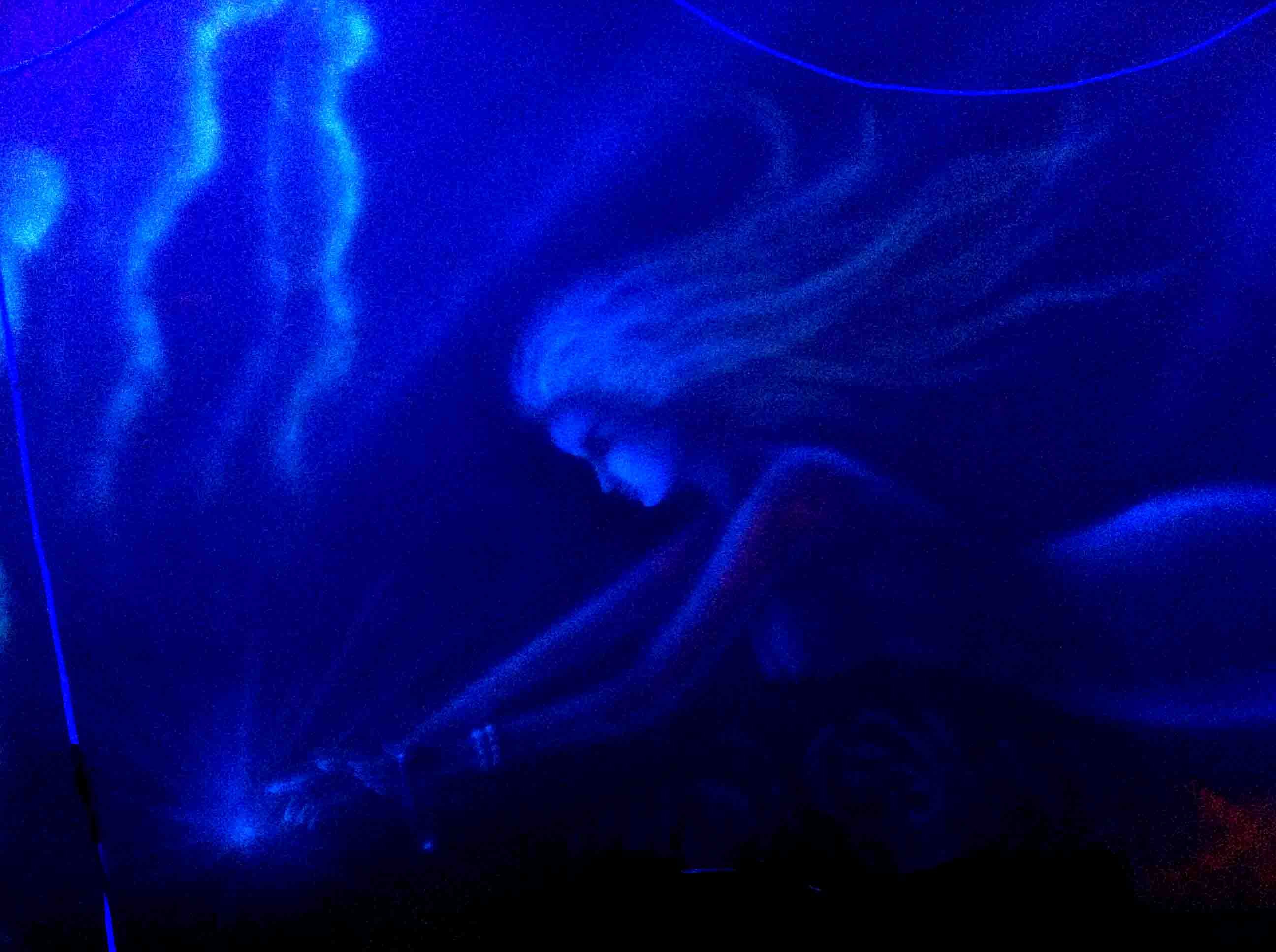 錦州美人魚隱形畫695