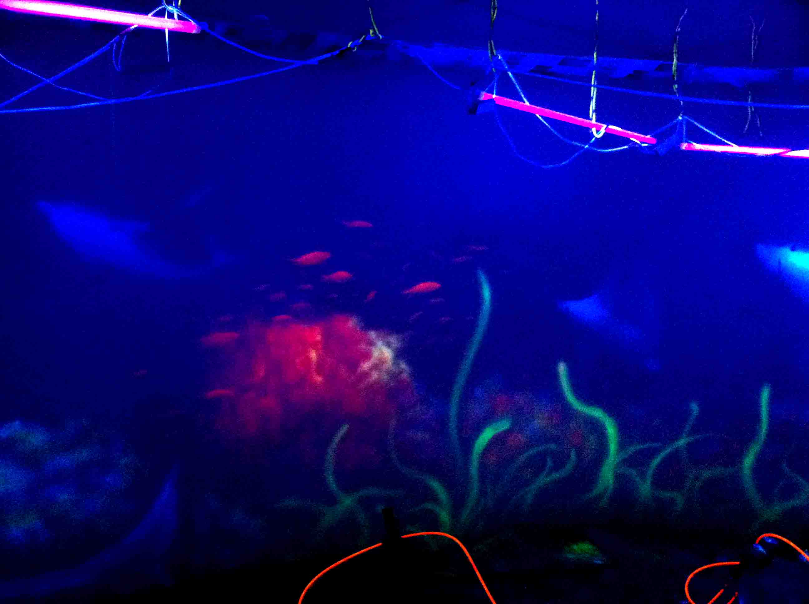 畫欣手繪熒光畫705