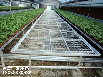 苗床系統，苗床設備，苗床安裝，苗床設計
