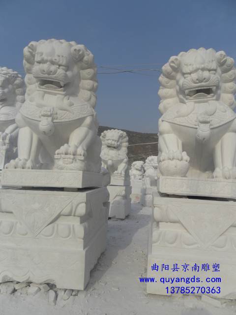 曲陽雕刻鎮(zhèn)宅看門漢白玉石獅子雕塑石雕獅子