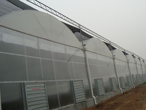 薄膜溫室