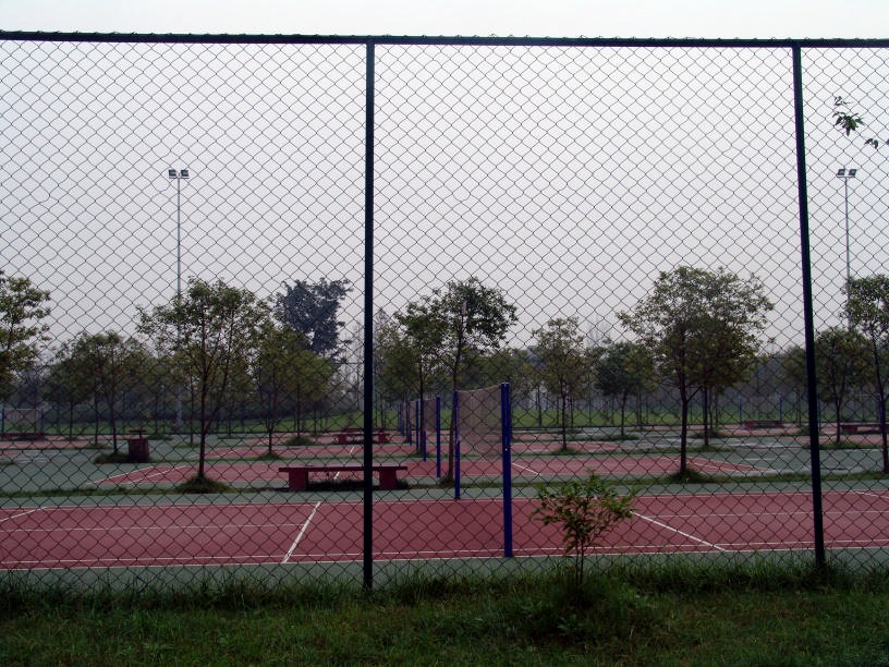 大連普蘭店體育場勾花護欄網