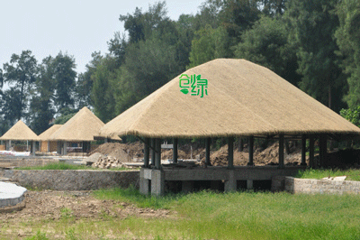 大理塑料茅草，昆明z好的塑料茅草