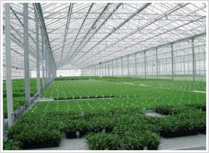 聚碳酸酯陽(yáng)光板，耐力板