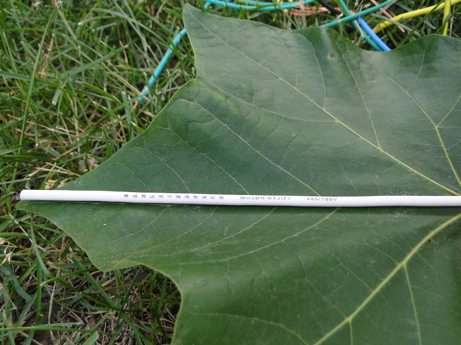 青島電線，青邁廠家直銷