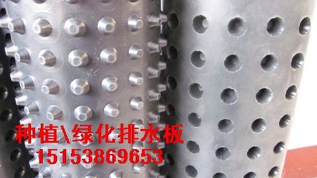 塑料排水板/防排水板材料/排水板價(jià)格