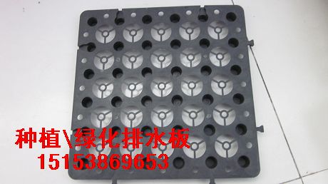 塑料排水板規(guī)格/種植排水板價(jià)格/綠化排水板規(guī)格