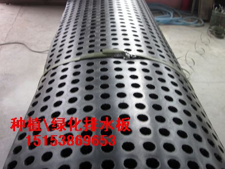 港澳臺(tái)聚乙烯排水板—塑料疏水板—HDPE排水板