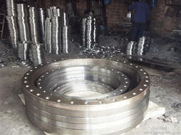 卷制法蘭，鋼板卷制法蘭，異型法蘭，河北法蘭廠家