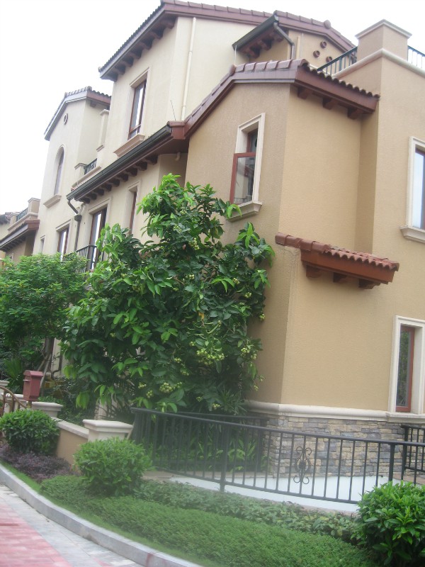 廚衛防水涂料（聚合物防水漿料）