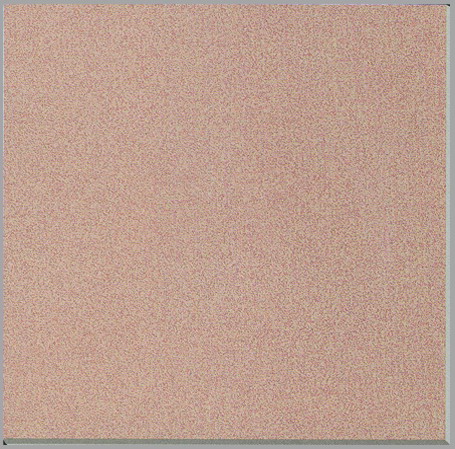 供應(yīng)耐磨磚  佛山耐磨磚廠  耐磨磚批發(fā)