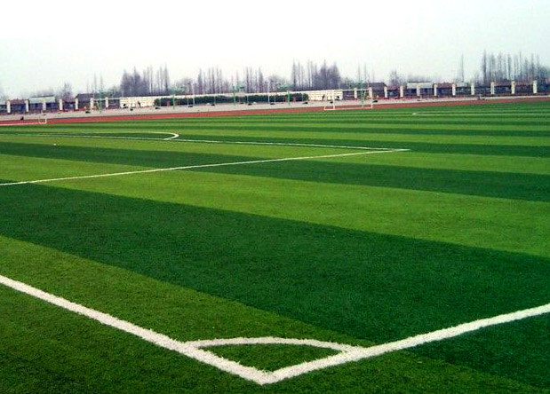 足球场草坪价格