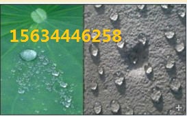 批發沈陽荷葉疏水劑 水性荷葉疏水劑 表面疏水劑
