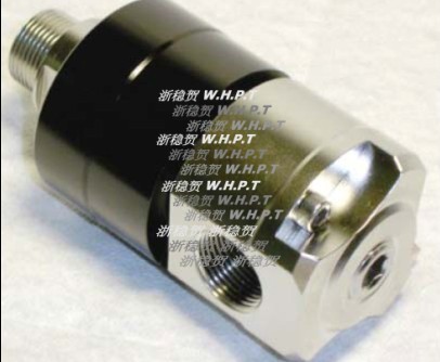 R038B2E1L-VR不銹鋼旋轉接頭