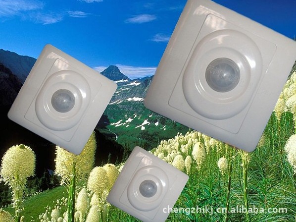 白熾燈人體感應開關