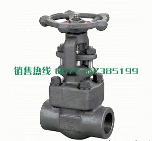 大口徑鍛鋼高壓閘閥，鍛鋼高壓閘閥，Z41H