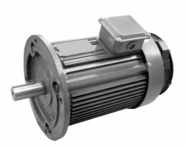 森力瑪變頻電機