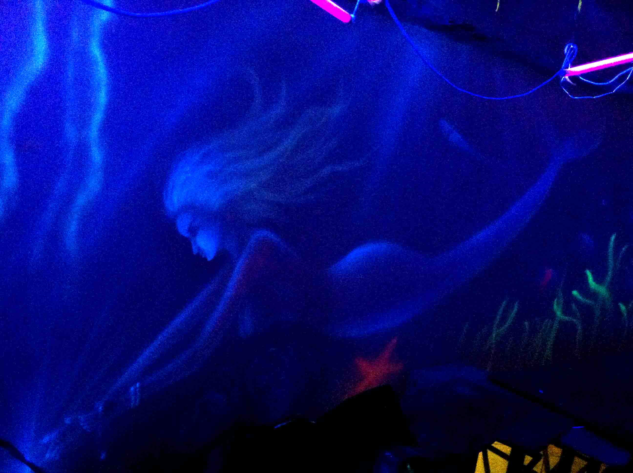 沈陽畫欣手繪隱形畫、熒光畫