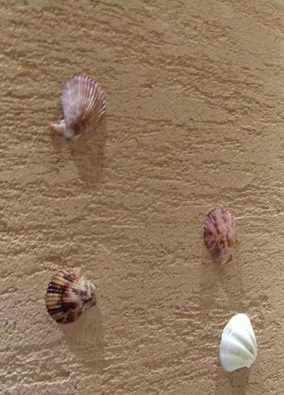 沈陽硅藻泥,硅藻泥加盟,硅藻泥壁材找優特美筑