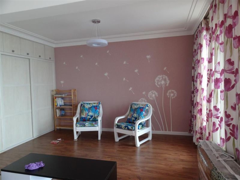 提供大連開發區硅藻泥施工工程