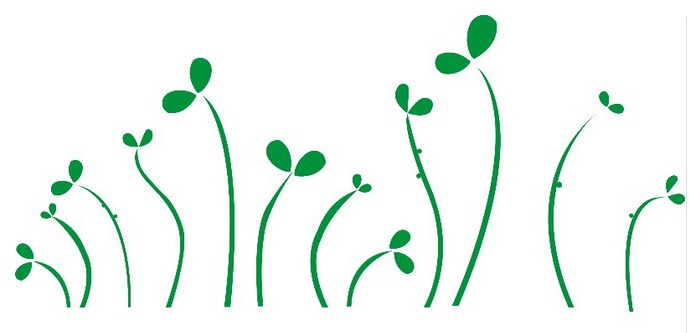 提供沈陽市鐵西區硅藻泥施工工程服務！