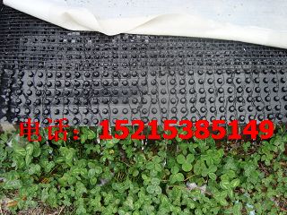 中山【地下室排水板】蓄排水板廠家規格齊全