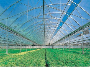 上海藍色陽光板 3mm藍色陽光板廠家