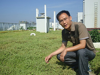 “曬不死”佛甲草屋頂綠化設計。景觀佛甲草施工