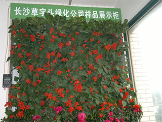 3D立體綠化，科學立體綠化的前景，正能量立體綠化