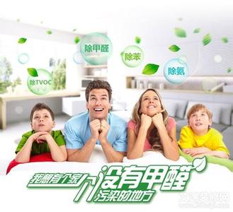 新浪網(wǎng)舉辦的硅藻泥行業(yè)峰會正式召開