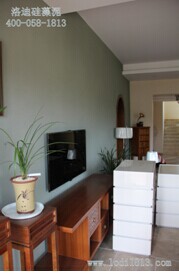 洛迪質感系列珊瑚巖硅藻泥