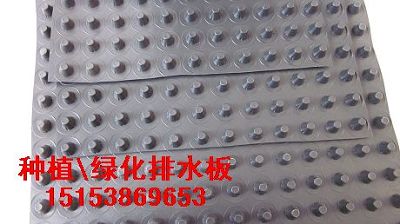 黑龍江%綠化排水板（哈爾濱￥蓄排水板）