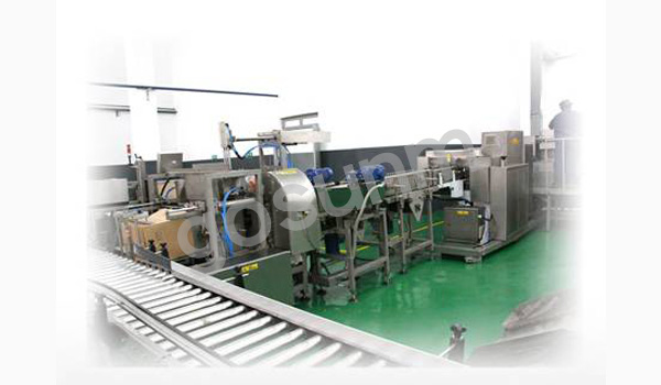 枕式側推裝箱生產線